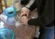 How To Make No-knead Bread Part 2